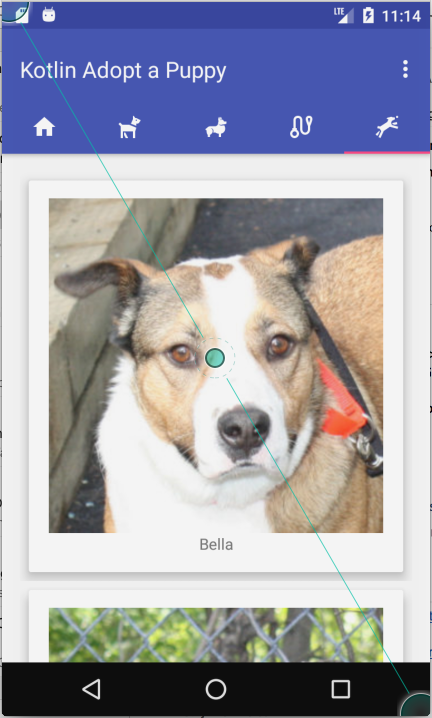 Screen Shot 2017-07-05 at 11.14.13 AM